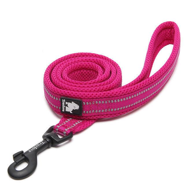 The Ultimate Stretchable Nylon Pet Dog Leash In Vibrant Colors by Dog Hugs Cat