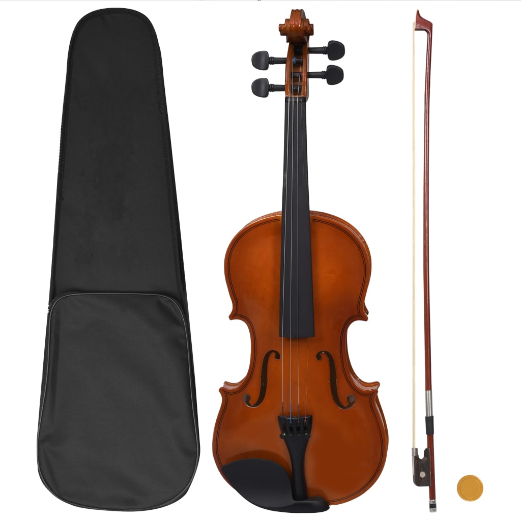 vidaXL Violin with Bow Violin Outfit with Chin Rest Carrying Bag 4/4 Full Size-1
