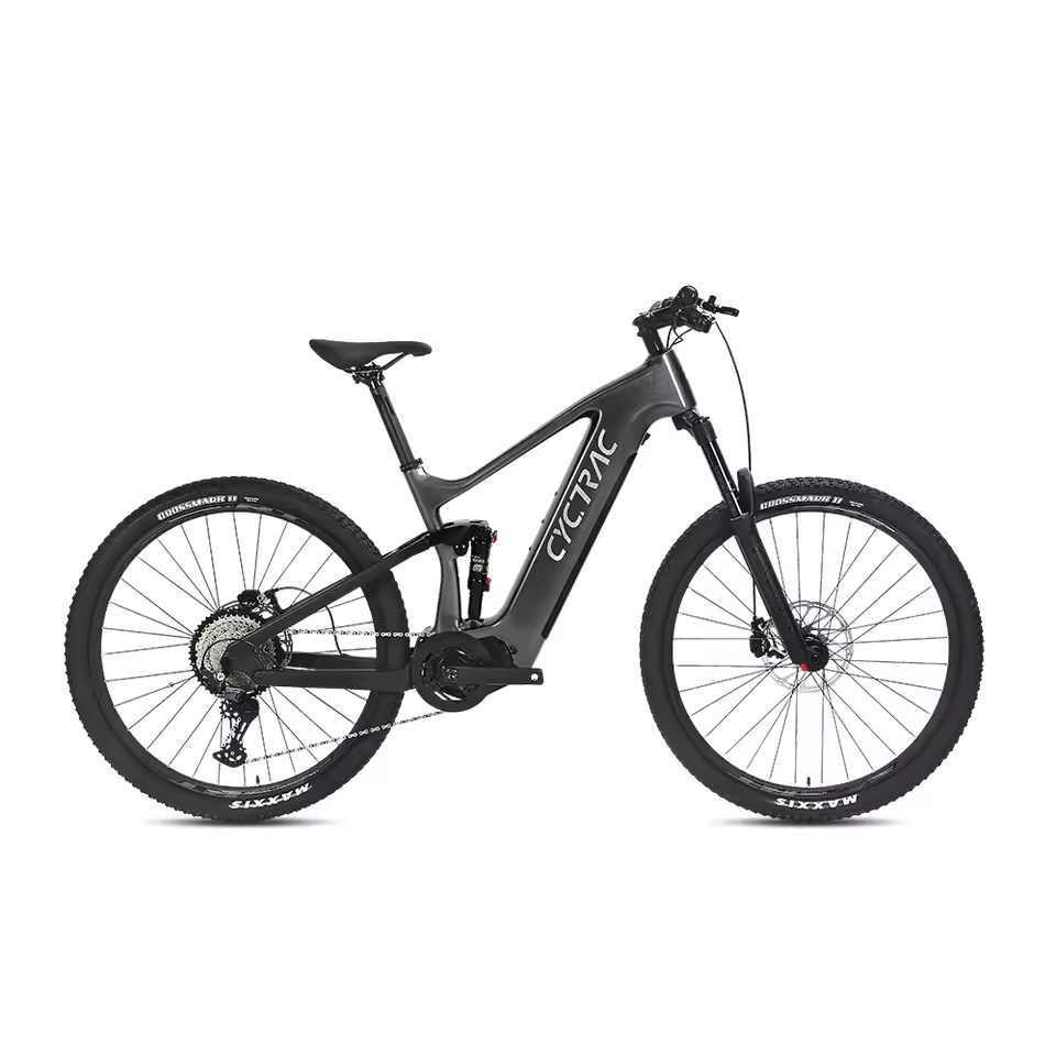 EM10 2025 - ELECTRIC CARBON BIKE-1