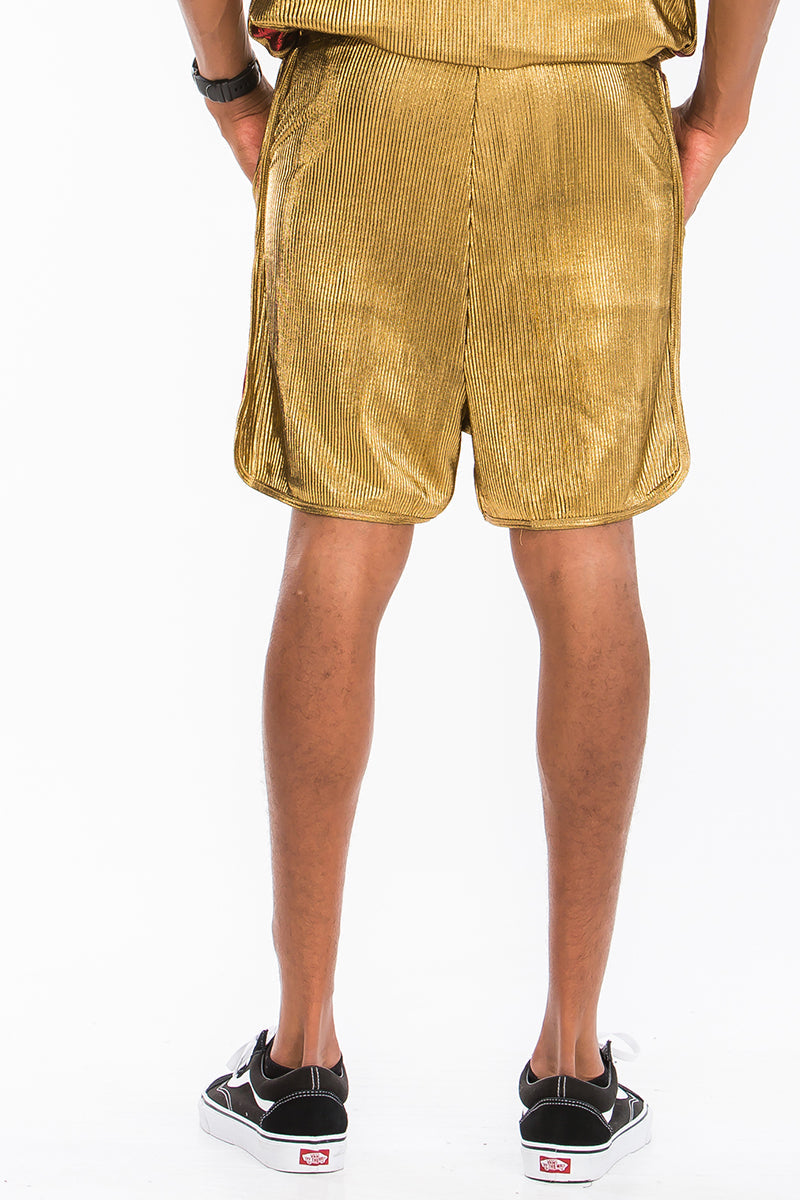 Metallic Boxer Shorts-2