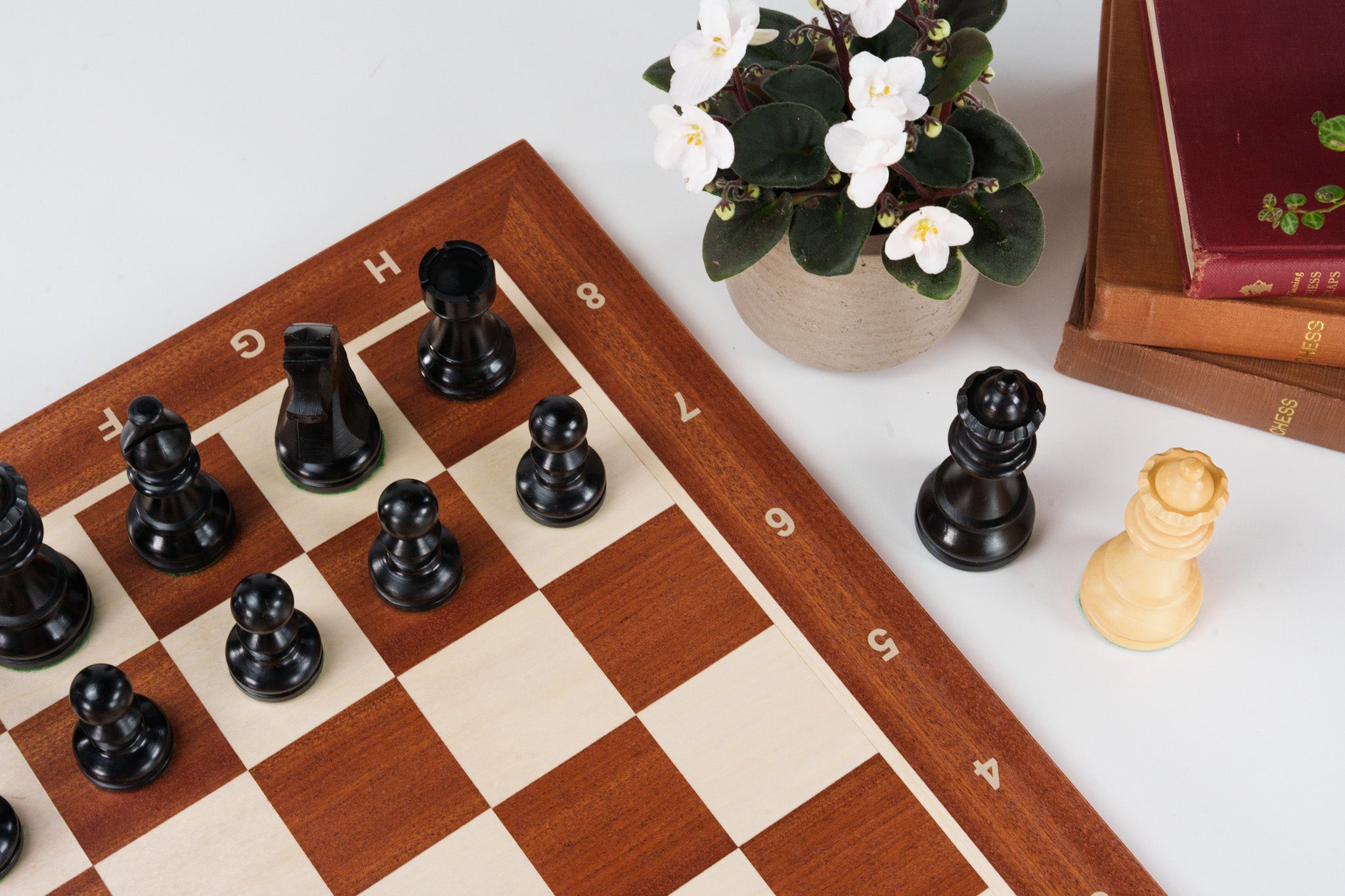 The Championship Chess Set Combo